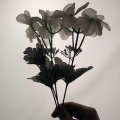 I Remember You(w/Haechan Park)