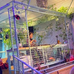 DAG Pai Garden 11.9 - Shifka Vibes