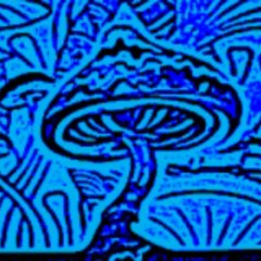 FEEL ME DIFFERENT - DVNSM X NATESKI X UNKNOWN ARTIST (PROD. DVNSM)