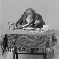 gibbon man
