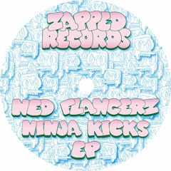 PREMIERE: Ned Flangerz - Rizzer [ZAPPED1]