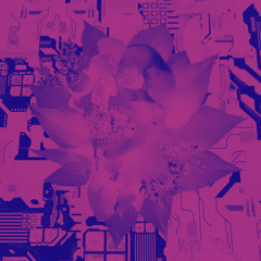 Ginseng - Unbeknownst To Me [omsine VIP] FREE DOWNLOAD