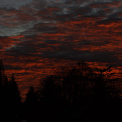 Trust Me Baby / Rip Your Soul Out