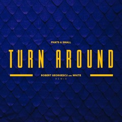 Phats & Small - Turn Around (Robert Georgescu And White Remix)