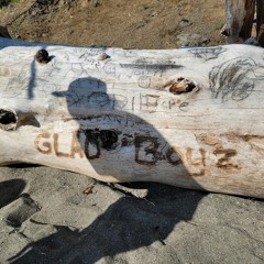 every single bih (prod. FLOCKABOI)