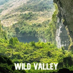 Stream 雨上がりの空のように by Tamagawa Nico | Listen online for