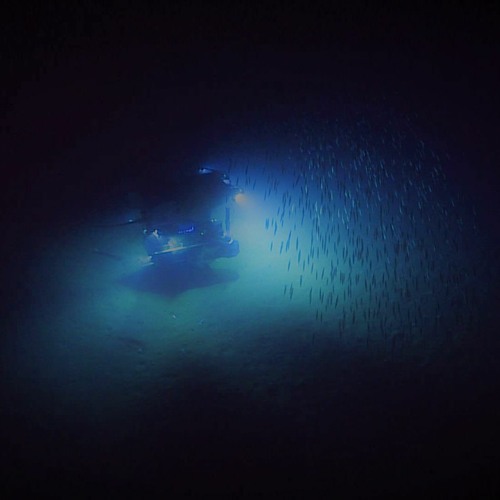 Stream 深海魚の見る夢 By 星空ひとりぼっち Listen Online For Free On Soundcloud Stream 深海魚の見る夢 By 星空ひとりぼっち Listen Online For Free On Soundcloud