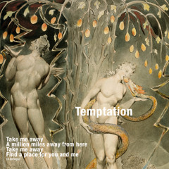 Fraunhofer Diffraction - Temptation