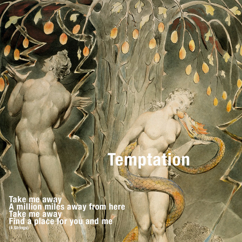 Fraunhofer Diffraction - Temptation