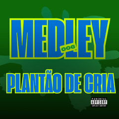 MEDLEY 006  - MC ZANGÃO (PLANTÃO DE CRIA) 2026