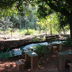 18.12.2022 - DOMINGO - Cap. V - Bem Aventurados os Aflitos - Causas Anteriores das Aflições