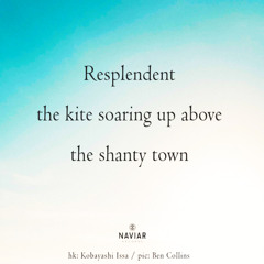 Resplendent [naviarhaiku569]