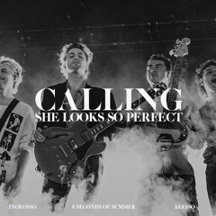 5 Seconds of Summer x Alesso  & Sebastian Ingrosso - She Looks So Perfect (Wellkrow "Calling" Edit)