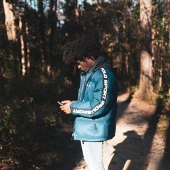 Love Fall From Trees