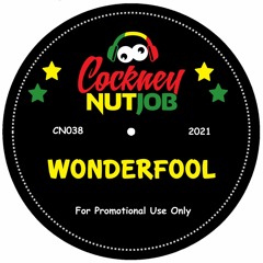 Wonderfool ★★ Preview Clip ★★
