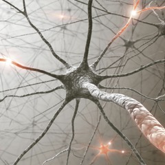 Neural Networks: The Nucleus Accumbens for Solo Piano