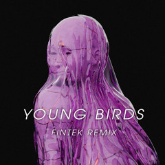 De Ambassade-Young Birds [fintek Remix]