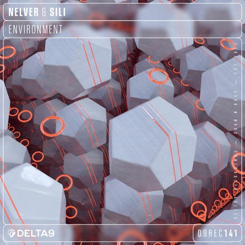 Nelver & SiLi - Environment