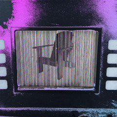 miss frizzle (adirondack protocol)