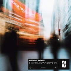Hybrid Noise - I Couldn't Say It