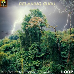 Rainforest Thunderstorm with Rain, Thunder and Jungle Animal Sounds for Sleeping, Relaxing (LOOP)