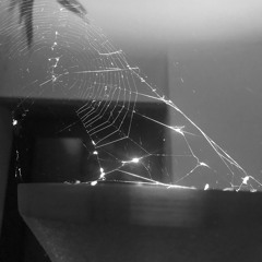 Veilcast004 - danilo