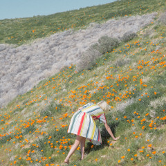 Linger In Moments