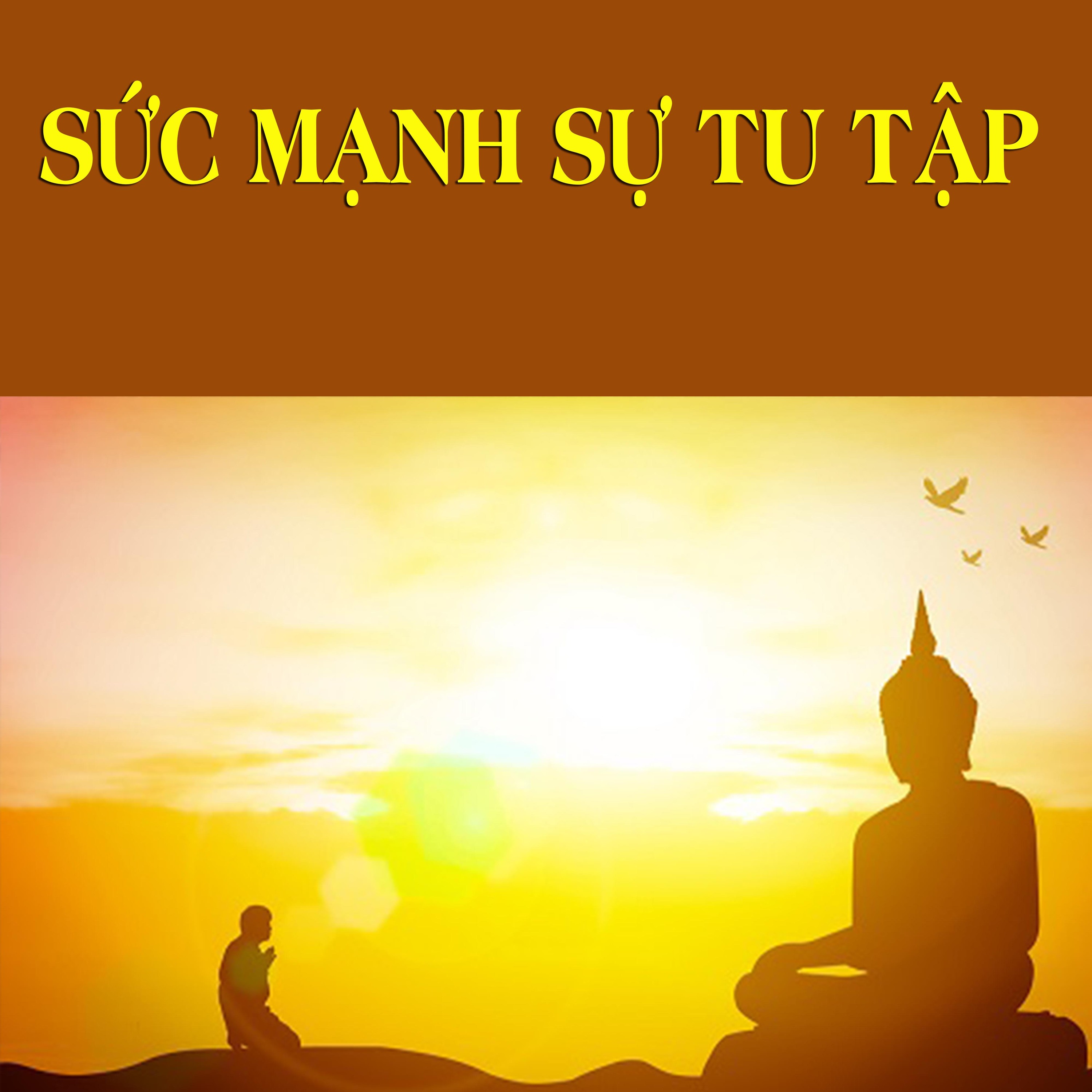 Sức Mạnh Sự Tu Tập episode artwork
