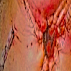 VUIL X LIL PEPTOMAN - HURT