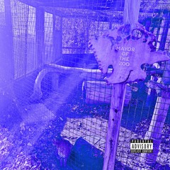 PREVIEW - Carlos Corte$