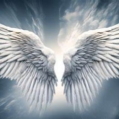 IANAHB2 - Ryan Pong Remix