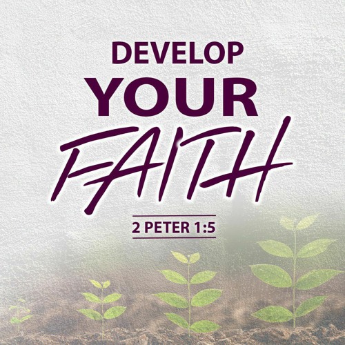 Develop Your Faith - 2 Peter 1:5