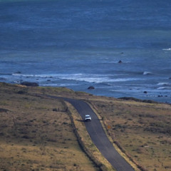 ydoifeel? (aircaden ukg)