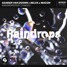 Sander Van Doorn X Selva X Macon - Raindrop (asieBlu Remix)