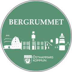 Avsnitt 13 - Ett intressant skede