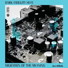 Dark Fidelity Hi Fi - Treasures (from the "Migration of the Meaning" album.