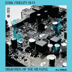 Dark Fidelity Hi Fi - Warm Signal (from the "Migration of the Meaning" album)