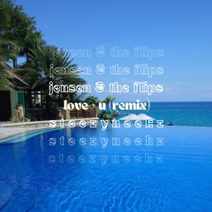 Jensen & The Flips - Love + U (steezyneekz Remix)