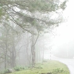 mùa xuân đầu tiên_ tama cover