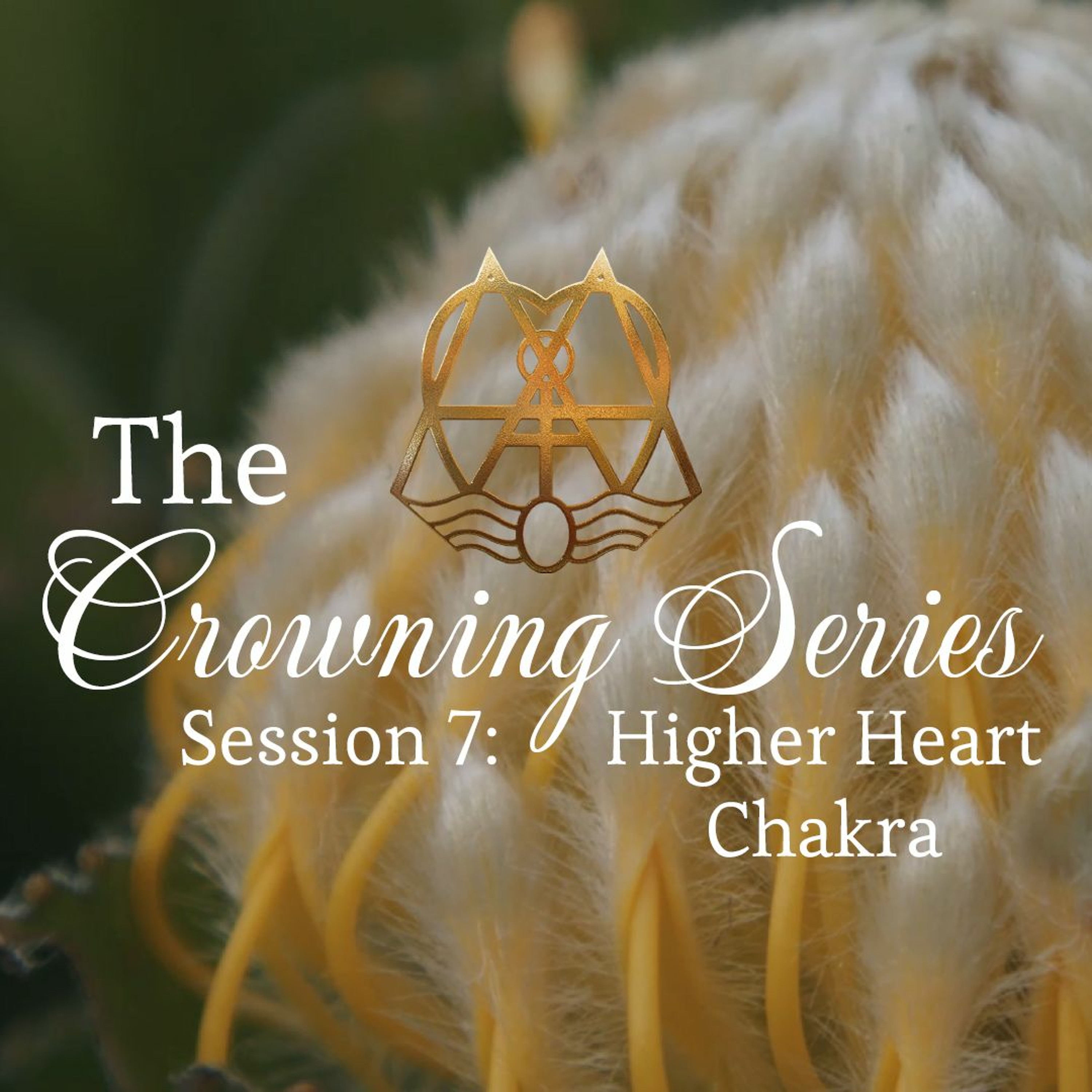 The Crowning Series Attunements - Higher Heart Chakra - Session 7 episode artwork