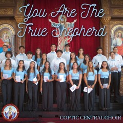 You Are The True Shepherd (Live)
