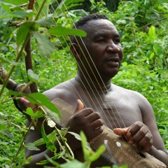 Harfe Dissumba Fang - 1