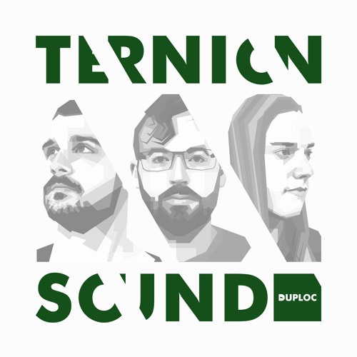 Ternion Sound - Up Up [DUPLOCv002]