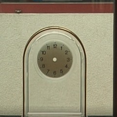 호럴
