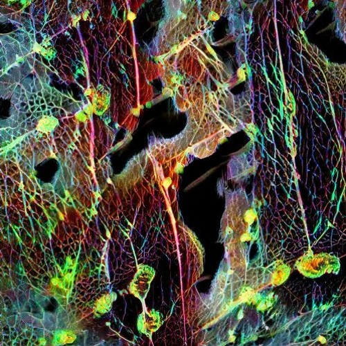 040222 - Gustsustained