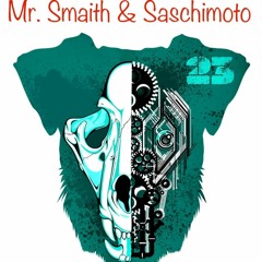 Mr. Smaith & Saschimoto BionicGroove Live 26.06.2022