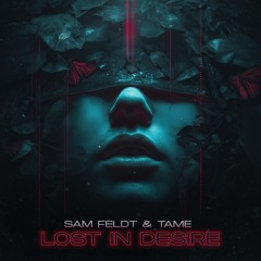 All Sam Feldt tracks