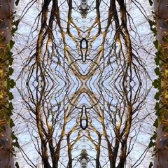 Unga Mantra - Tribal Roots Music Medicine