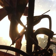 1526 Bouchons Lyonnais Et Accords Sauce Cajun Master