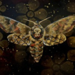 21 Butterfly Of The Night No. 6